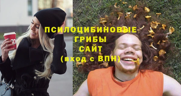 винт Аркадак